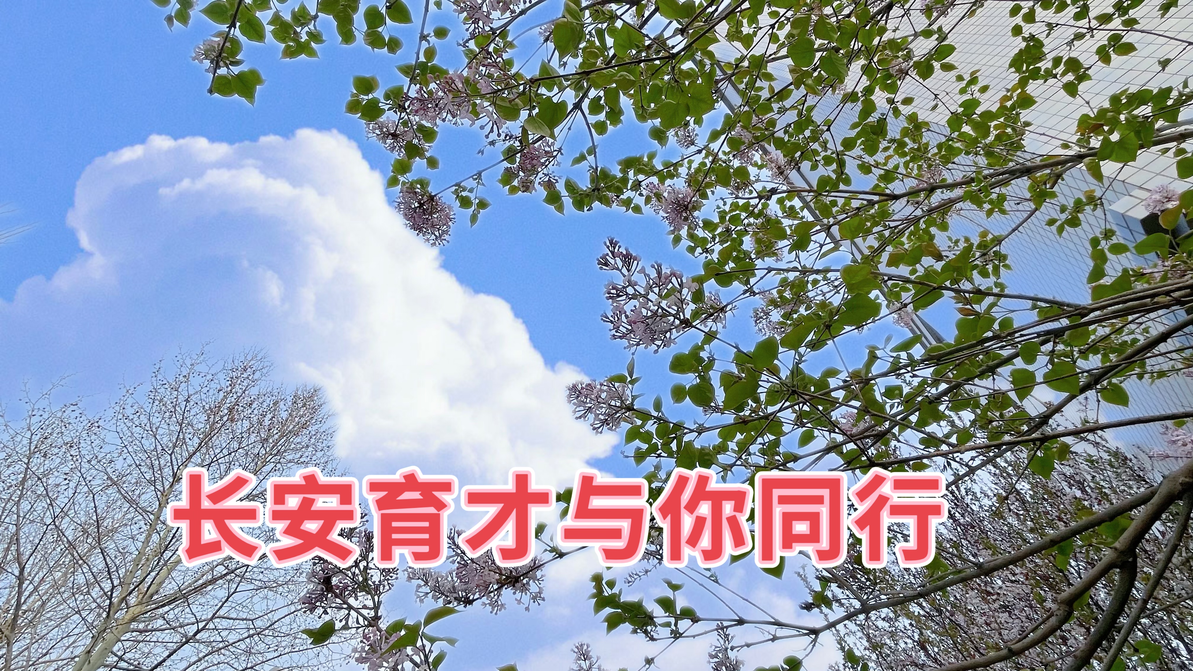 春分‖春日好時光，攜手共同行
